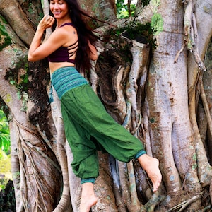Two-Tone Genie Pants
