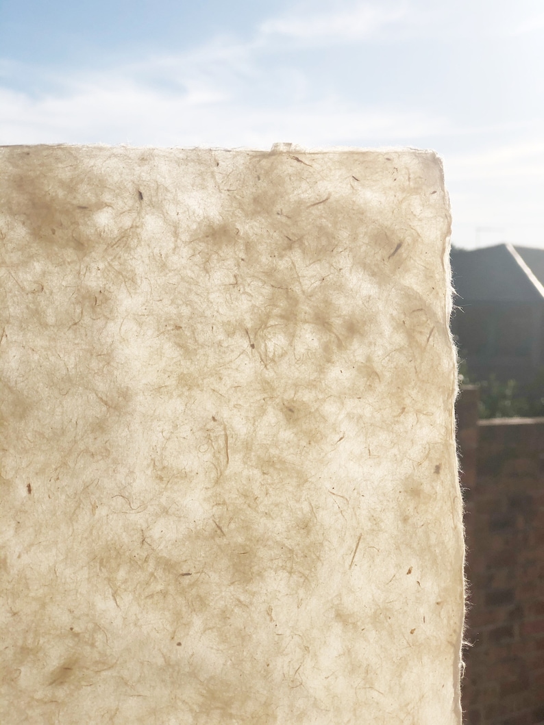 Puede incluir: Primer plano de una hoja de papel hecho a mano con una superficie texturizada y fibrosa. El papel es de color beige claro y tiene un aspecto natural y r&uacute;stico.