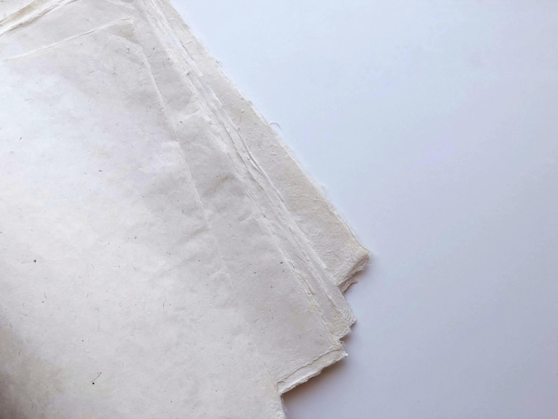Papel nepalí hecho a mano (2 hojas) / Beige natural / Envoltura de regalos, Scrapbooking, Manualidades de papel, ecológico, bordes desbarbados, sin ácido imagen 7