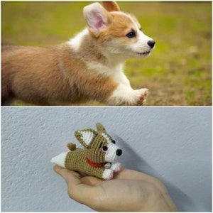 Custom Crochet Dog, Custom Stuffed Dog, Crochet Pet Memorial, Look Alike Dog, Personalized Dog, Gift for Dog Lovers, Custom Stuffed Animal image 3