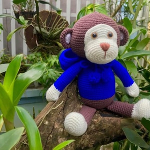 Crochet Monkey Doll, Monkey in the Hood, Amigurumi Monkey, Stuffed Monkey, Monkey Plush, Pinky Monkey, Handmade Monkey, Stuffed Plush Animal