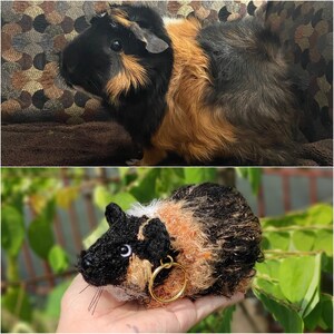 May include: A crocheted amigurumi guinea pig toy with black, brown, and orange fur. The toy has a white patch on its face and is wearing a gold ring around its neck.