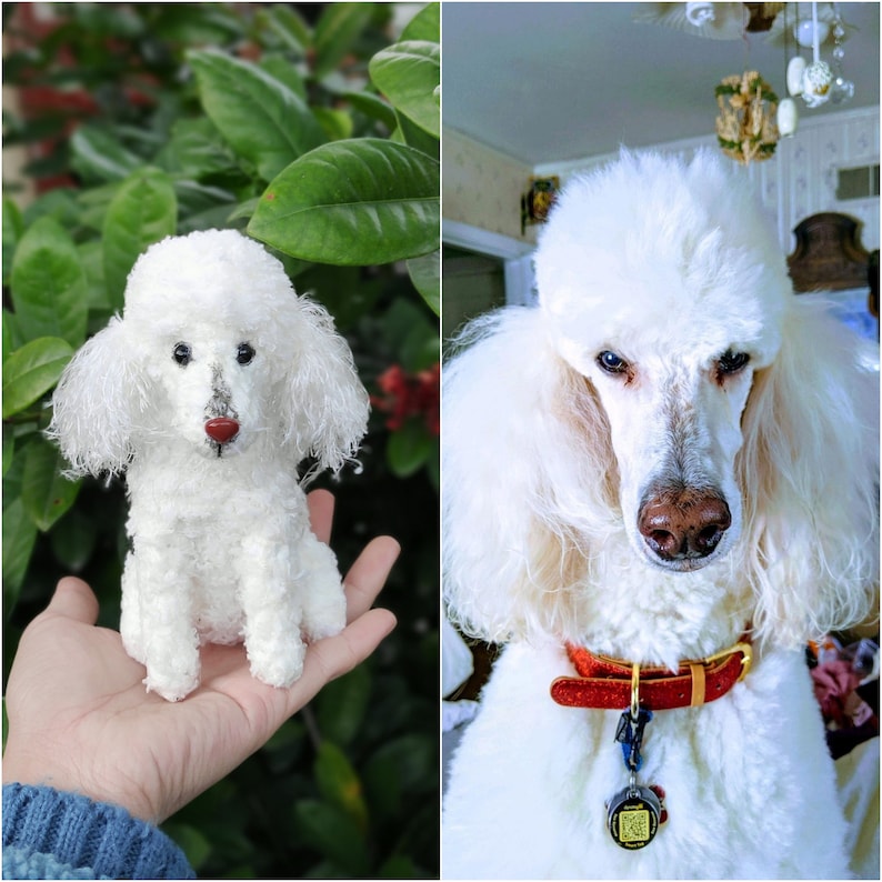 May include: A small white poodle figurine with curly texture, black eyes, and a red nose, displayed alongside a photograph of a white poodle with a red collar and a circular tag. The figurine replicates the appearance of the dog in the photograph.