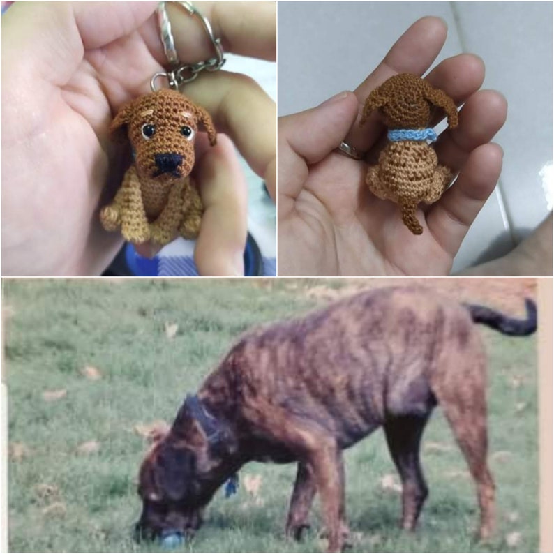 Puede incluir: Un llavero de perro de crochet marr&oacute;n y beige con un collar azul. El llavero est&aacute; colgado de un llavero plateado. El perro de crochet est&aacute; sentado con las patas metidas debajo del cuerpo. El perro est&aacute; mirando hacia la derecha. El llavero est&aacute; en la mano de una persona. Un perro marr&oacute;n y beige est&aacute; olfateando el suelo en un campo de hierba.