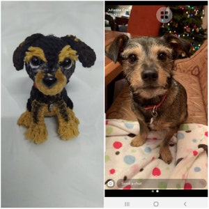 Puede incluir: Un juguete de perro de peluche tejido a crochet con pelo negro y marr&oacute;n, ojos grandes y un collar rojo. El juguete est&aacute; sentado sobre una superficie blanca. Junto al juguete hay una foto de un perro real con pelo marr&oacute;n y gris, sentado en una manta con lunares rojos y blancos.
