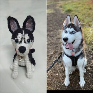 Puede incluir: Un cachorro de husky de peluche tejido a crochet con pelaje blanco y negro, ojos azules y un collar rojo. El juguete est&aacute; sentado sobre una superficie blanca. Junto al juguete hay un cachorro de husky real sentado en un camino de tierra.
