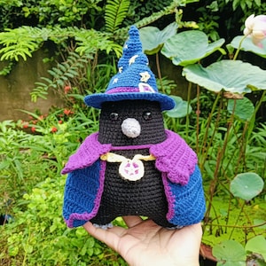Crochet Wizard Crow, Wizard Crow Plush, Stuffed Wizard Crow, Halloween Crow, Halloweem Plush, Crochet Raven