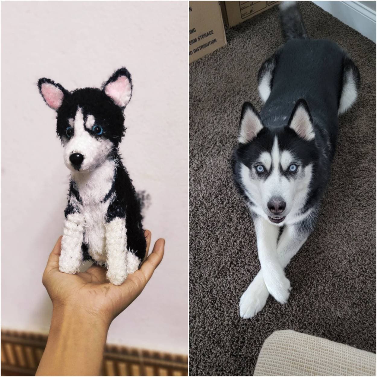 Custom Pet Clone - Etsy Custom Pet Clone - Etsy