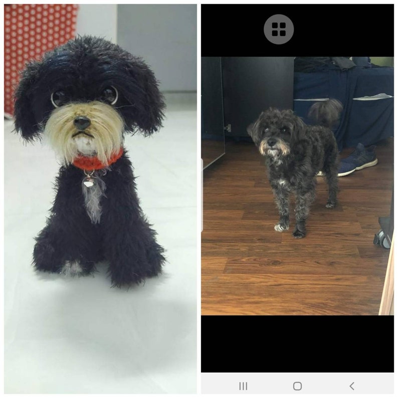 Custom Crochet Dog, Custom Stuffed Dog, Crochet Pet Memorial, Look Alike Dog, Personalized Dog, Gift for Dog Lovers, Custom Stuffed Animal image 6