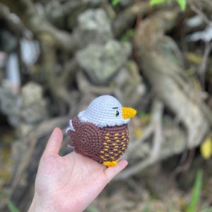 May include: A crocheted bald eagle amigurumi toy with white feathers, brown body, and yellow beak and feet. The toy is being held in a person's hand.
