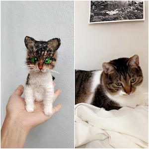 Peluche chat personnalisée, chat au crochet personnalisé, chat en peluche personnalisé, peluche personnalisée pour animal de compagnie, peluche commémorative pour animal de compagnie, peluche personnalisée, cadeau pour les amoureux des chats
