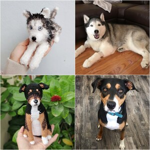 May include: A set of two handmade crochet dog figurines, one resembling a black and white husky with blue eyes and the other a black, tan, and white dog, displayed alongside photographs of the real dogs they are modeled after for comparison.