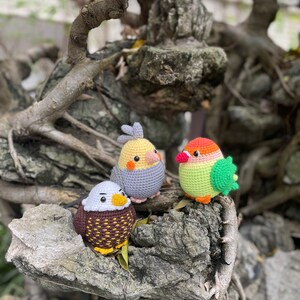 May include: Three crocheted bird figurines, a brown and white eagle, a yellow and gray cockatiel, and a green and orange lovebird, are perched on a tree branch.