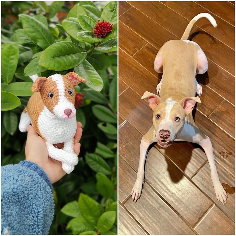 May include: A crochet dog figurine featuring a white and tan coat, pointed ears, and blue eyes, modeled after a tan and white dog with a similar white blaze on its face, pink nose, and light-colored coat, captured in a side-by-side comparison.