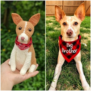 Custom Crochet Dog, Custom Stuffed Dog, Crochet Pet Memorial, Look Alike Dog, Personalized Dog, Gift for Dog Lovers, Custom Stuffed Animal image 4