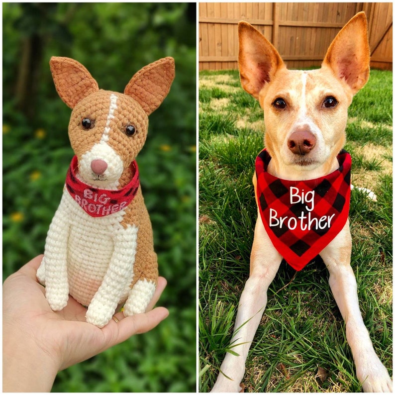 Custom Crochet Dog, Custom Stuffed Dog, Crochet Pet Memorial, Look Alike Dog, Personalized Dog, Gift for Dog Lovers, Custom Stuffed Animal image 4