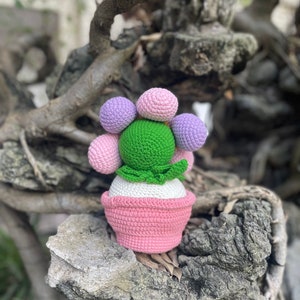 May include: A crocheted cactus plant with a pink pot and a green body. The cactus has a flower made of pink, purple, and white balls.