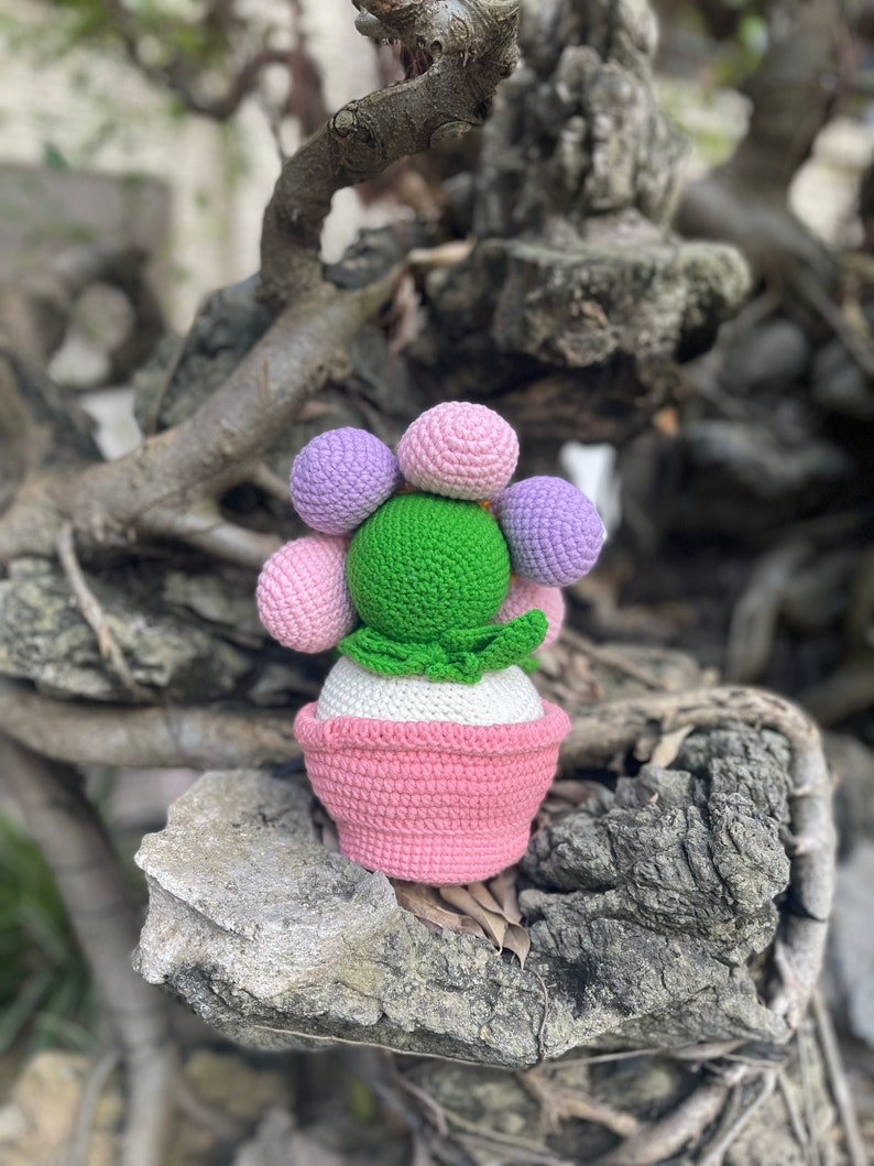 May include: A crocheted cactus plant with a pink pot and a green body. The cactus has a flower made of pink, purple, and white balls.