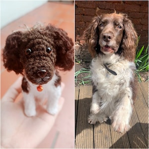 May include: A brown and white crocheted dog toy with a bell on its collar, next to a real brown and white Springer Spaniel dog sitting on a wooden deck.