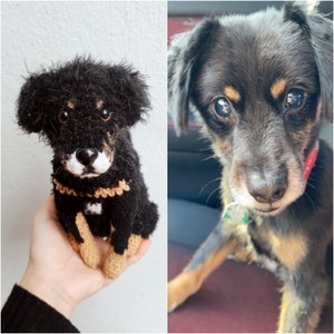 May include: A handmade crochet plush dog featuring black textured yarn, tan accents on the paws and chest, a white muzzle, and shiny black plastic eyes. The plush toy is modeled after a small black and tan dog with similar markings and features.