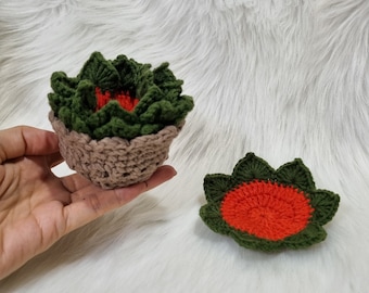 Succulent Plant Pot Coaster, Coaster Set Crochet, Crochet Plant Pot Coaster, Crochet Succulent Plant