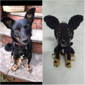Puede incluir: Un perro negro y blanco con ojos marrones est&aacute; sentado en un tramo de escaleras. Junto al perro hay un llavero de perro de crochet negro y marr&oacute;n.