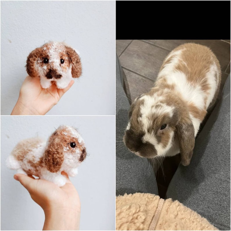 May include: Two images of a brown and white rabbit. The first image shows a crocheted rabbit with brown and white fur. The second image shows a real rabbit with brown and white fur.