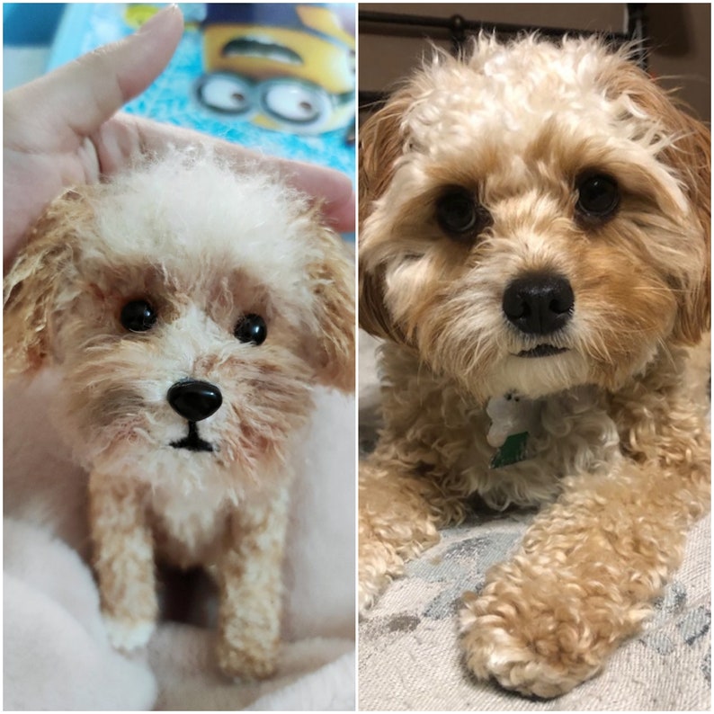 May include: A side-by-side comparison of a small, fluffy, cream-coloured dog with a plush toy version of the dog. The real dog is sitting on a light-coloured surface, while the plush toy is being held by a hand.
