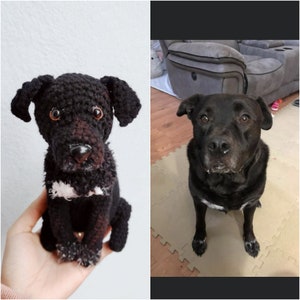 May include: A handmade crochet dog figurine featuring black yarn, floppy ears, brown plastic eyes, a black nose, and a small white patch of yarn on the chest, displayed alongside a photograph of a real black dog with similar physical markings.