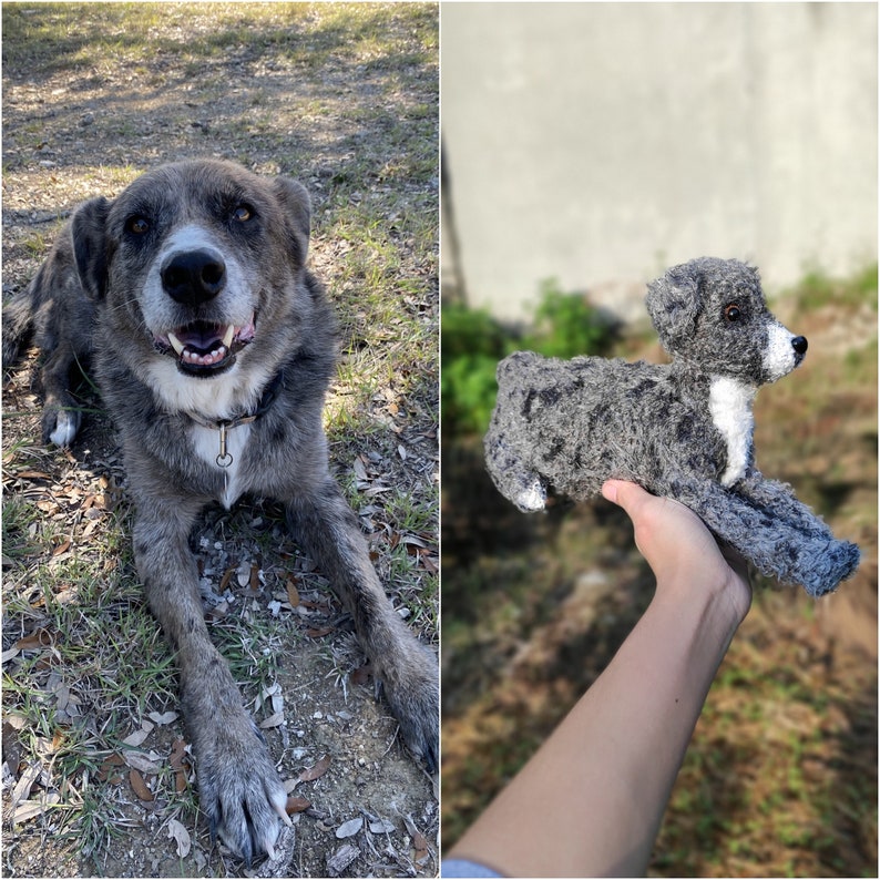 May include: A side-by-side comparison of a real dog and a plush toy dog. The real dog is a grey and white mixed breed with a kind expression. The plush toy dog is grey and white with a white patch on its chest. The toy dog is being held in a person's hand.