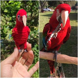 May include: Two red parrots, one is a plush toy and the other is a real bird. The plush parrot is holding a green leaf in its beak. The real parrot is perched on a wooden branch.