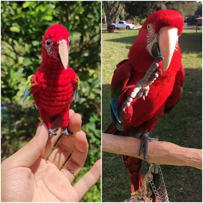 May include: Two red parrots, one is a plush toy and the other is a real bird. The plush parrot is holding a green leaf in its beak. The real parrot is perched on a wooden branch.