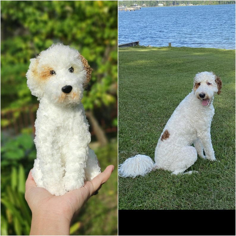 May include: A white and brown fluffy dog with a long tail sitting on green grass. The dog has a white body with brown patches on its face and legs.