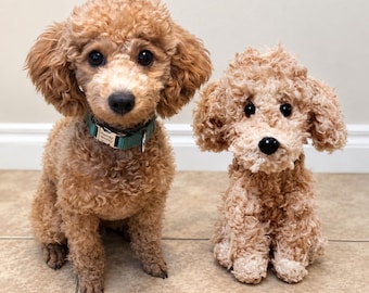 Custom Stuffed Dog, Custom Crochet Dog, Custom Dog Plush, Custom Stuffed Animal, Custom Pet Plush, Personalized Pet Gift, Pet Memorial