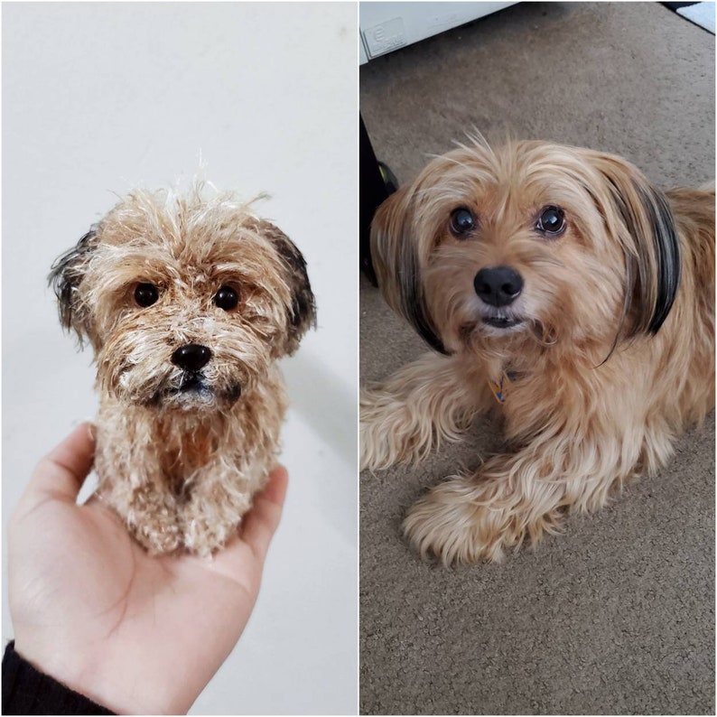 May include: A small, textured, tan-colored dog figurine with dark brown ears and black eyes, displayed alongside a photograph of a real, long-haired tan dog with similar dark ear markings and large, expressive dark eyes, both sharing a likeness.
