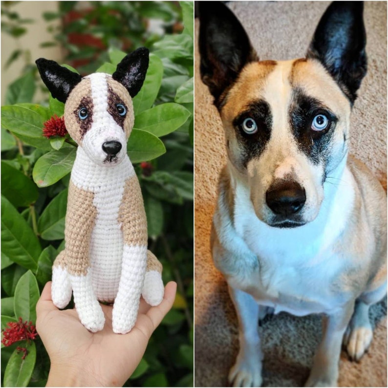 May include: A handmade crochet dog figurine featuring a tan and white coat, black ears, and blue eyes, modeled after a real dog with similar markings, including a white blaze on the face and dark patches around the eyes, sitting in a palm.