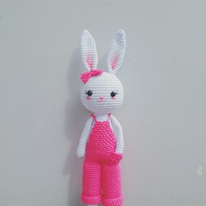 May include: A white crocheted bunny wearing pink overalls and orange shoes. The bunny has black eyes and a pink bow.