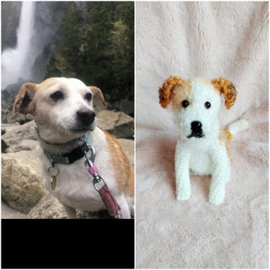 May include: A white and brown dog with brown ears and a black collar is standing on a rocky path. The dog is looking at the camera. A plush toy dog with brown ears and a white body is sitting on a white fluffy surface.