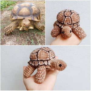 May include: A crocheted brown and black tortoise with black eyes. The tortoise is sitting on a hand.