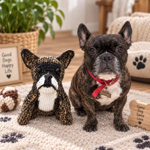 May include: A crochet French Bulldog plush toy with black, brown, and white yarn, featuring black plastic eyes and a black nose, positioned next to a live brindle French Bulldog wearing a red collar with a bone-shaped metal tag.