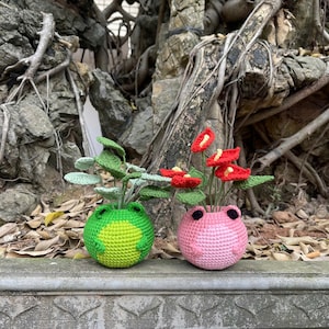 May include: Two crocheted frog planters, one green and one pink, with plants inside. The green frog planter has a leafy plant, while the pink frog planter has red flowers.