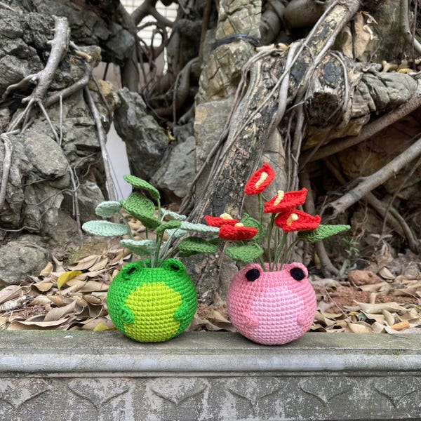 Froggy Duo Pots Crochet, Pink Frog Pot, Green Frog Pot, Frog Crochet, Valentine Crochet