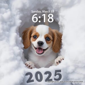 Unique Custom Pet Wallpapers for iPad, iPhone, and Desktop, personalized Background, Cute pet puppy pokes its head out of hole in snow