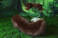 Brown faux fur shepherd dog tail and ear set Shiba Inu dog ear and tail furry anime cosplay therian puppy ear and tail puppy kemonomimi dog