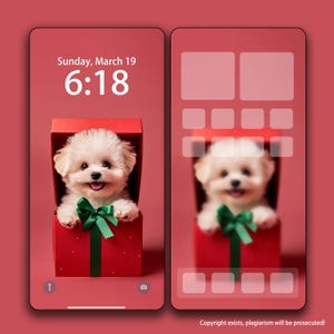 Custom Puppy Iphone Wallpaper, Super Cute Bichon Frise Tablet Wallpaper, iPad Wallpaper, Cat And Dog iPhone Background Wallpaper, Lockscreen
