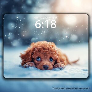 Red poodle Personalized Iphone Wallpaper Digital Download Custom Pet Laptop Background Wallpaper Smartphone Wallpaper For IPad and Desktop