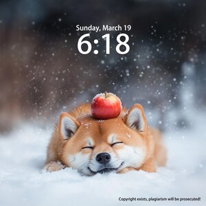 Cute Shiba Inu Dog Personalized Iphone Wallpaper Digital Download Custom Pet Laptop Background Wallpaper For Phone, IPad and Desktop Puppy