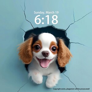 Wallpapers Dog For Smartphone, Unique Custom Puppy Wallpapers for iPad, iPhone, and Desktop, personalized Background, Cute Pet Lockscreen