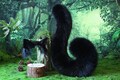 Realistic black faux fur cat ears and tail kitten ears and tail kittenplay anime cosplay petplay ear and tail kitten kemonomimi cat therian