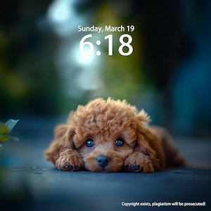 Custom Dog Iphone Wallpaper Digital Download, Personalised Phone Background Wallpaper Pet, Cute Poodle Mobile Wallpaper For iPad and Desktop